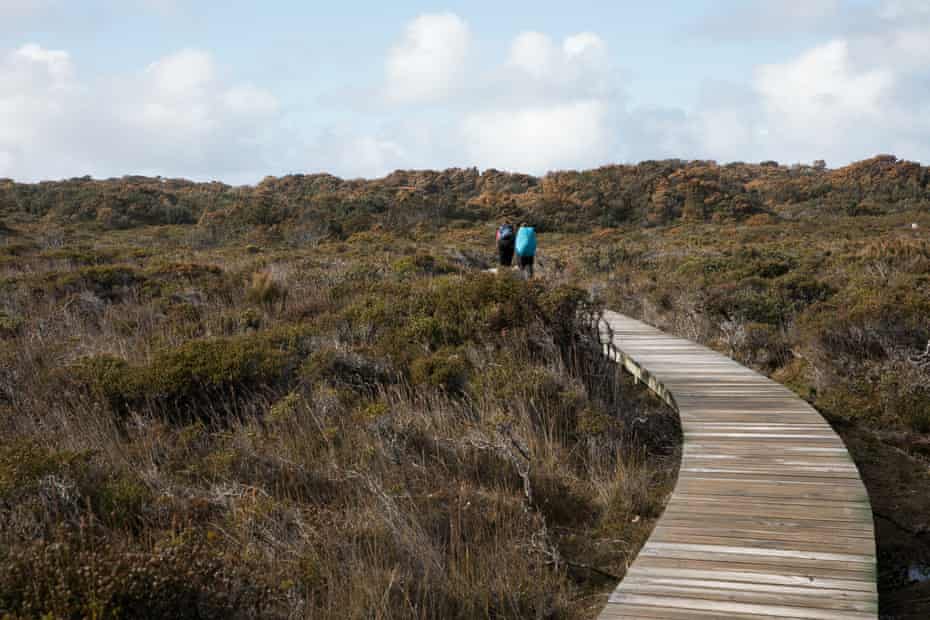 A boardwalk along the Three Capes walk in Tasmania