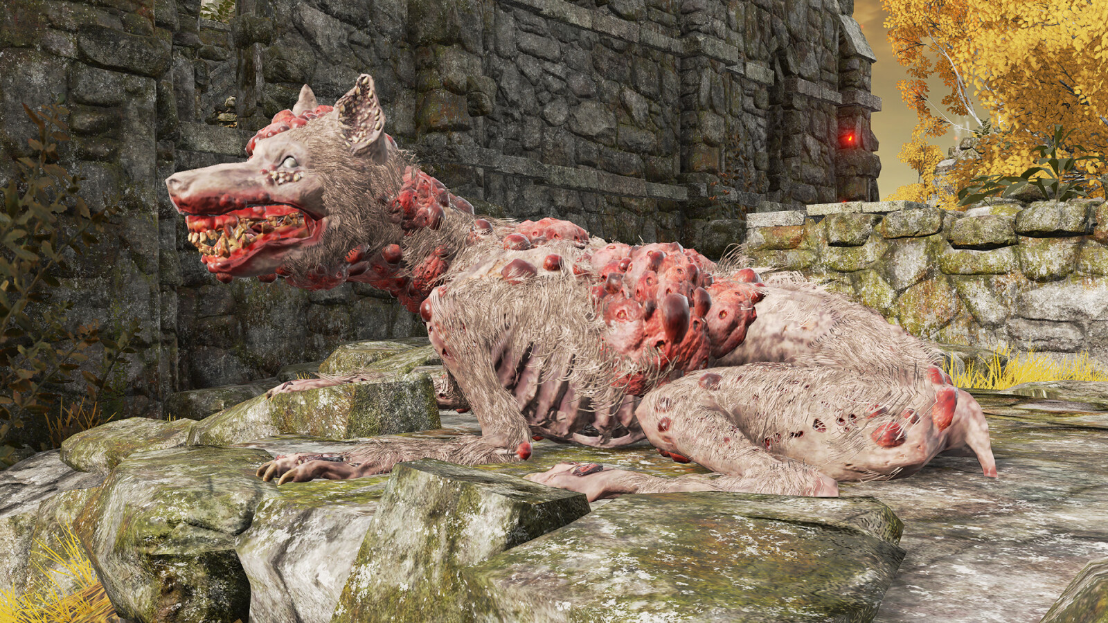 The most disgusting dog in the game
