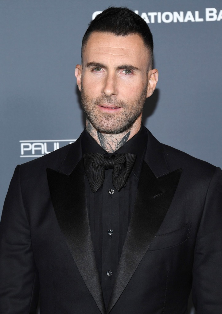 This purchase comes at a time of a property spree for Adam Levine.