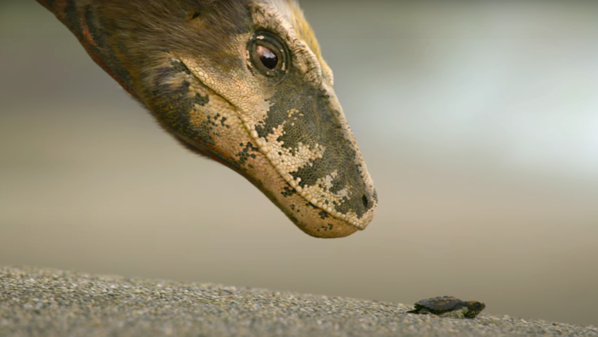 Dinosaur documentary Prehistoric Planet brings dinosaurs to life like this baby T. rex with a turtle. This streams on Apple TV+.