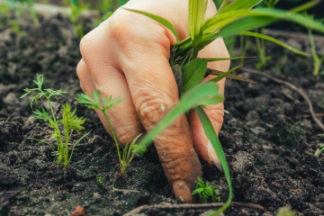 I'm a gardening expert - my nine weeding hacks can save you money and time