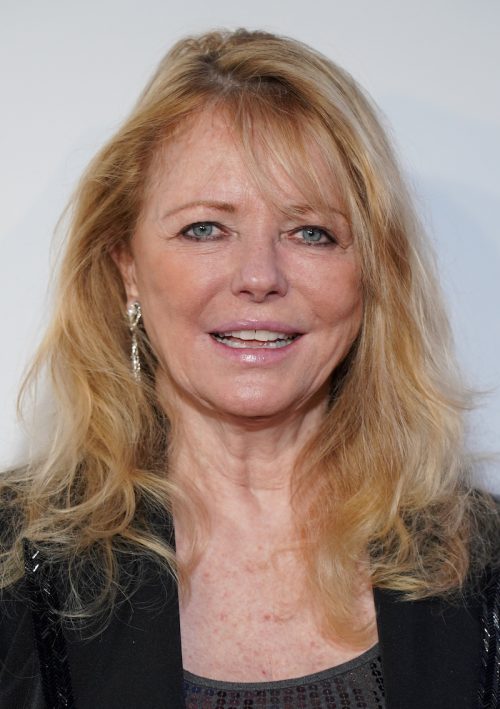 See '70s Swimsuit Model Cheryl Tiegs Now at 74 — Best Life - Cirrkus News