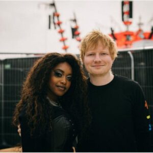 Ed Sheeran's 2Step gets Denise Chalia remix treatment - Music News