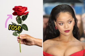 Pick 7 Of Your Favorite Musical Artists To Find Out What Flower You Truly Embody