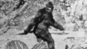 Two Men Share Footage Of What They Believe Was A Bigfoot Encounter