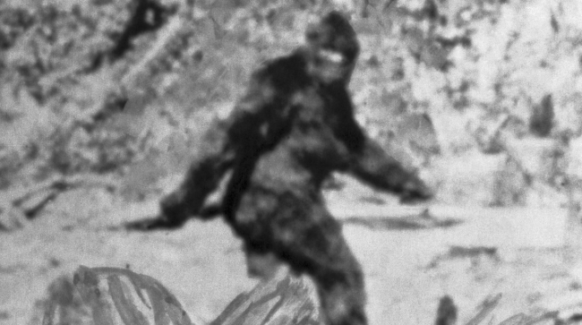 Two Men Share Footage Of What They Believe Was A Bigfoot Encounter
