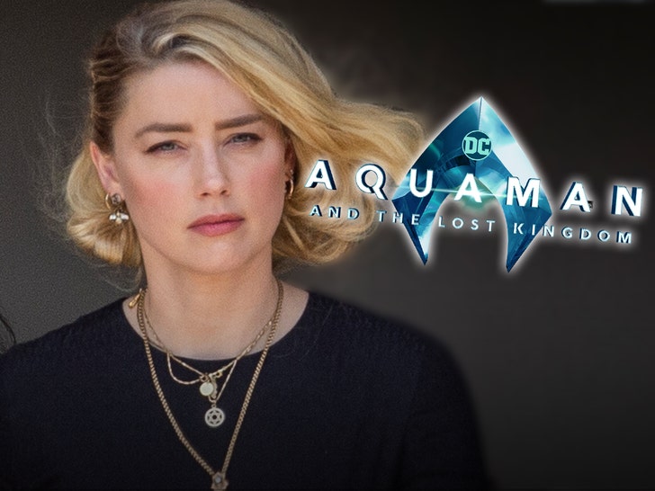 Amber Heard Denies Being Removed from 'Aquaman 2'