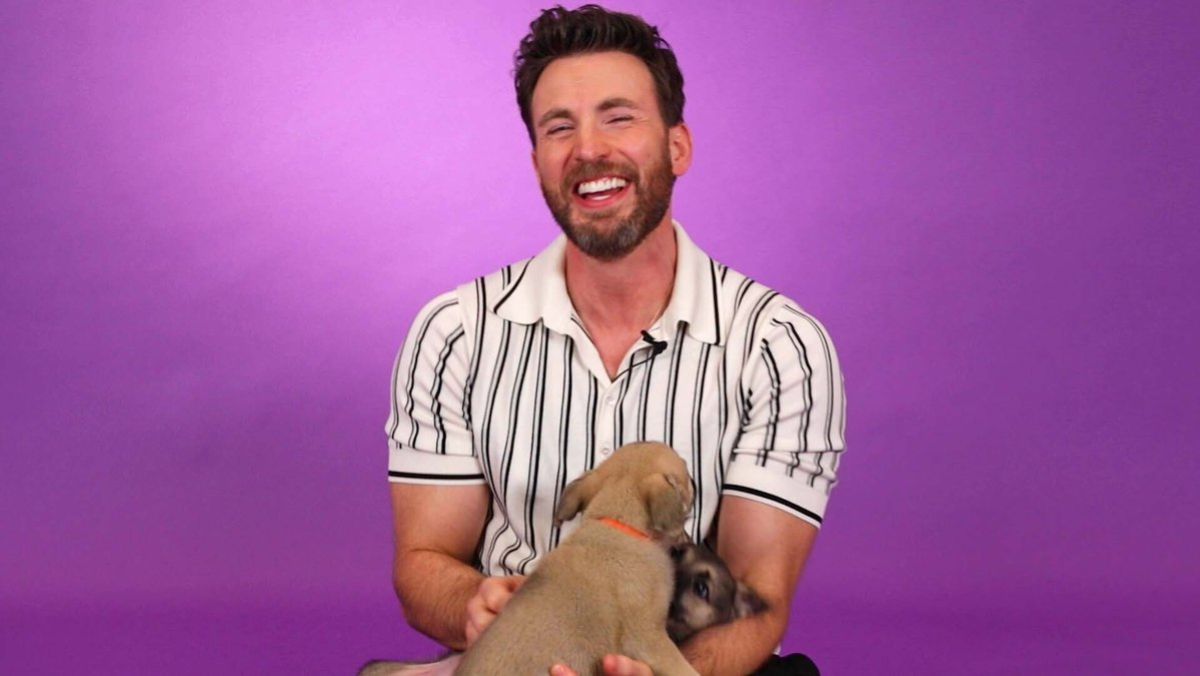 Chris Evans giving a puppy interview