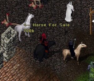 Horse market