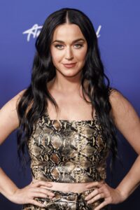 Katy Perry faces Twitter backlash after Rick Caruso support