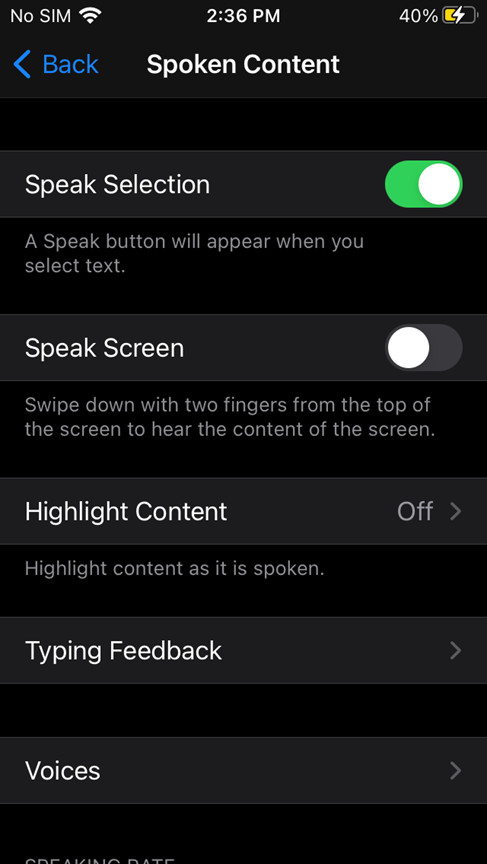 Spoken Content page on iPhone
