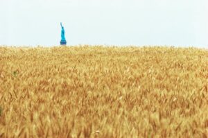 Powerful paradox … a view of the Statue of Liberty beyond the field.