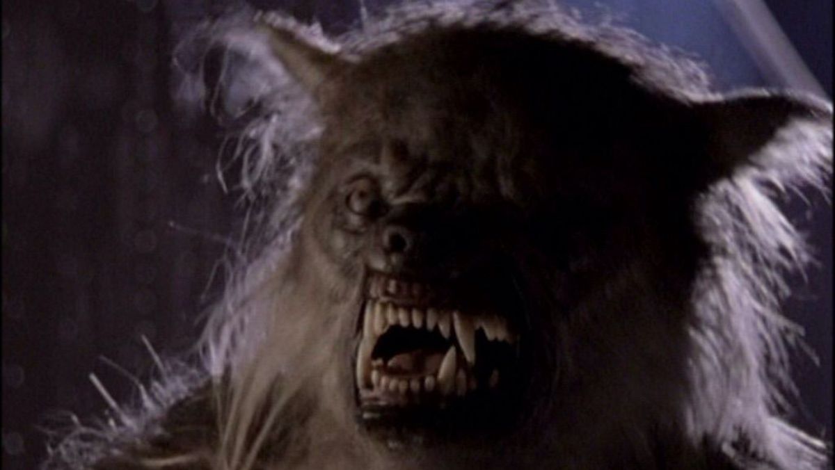 Werewolf from Buffy the Vampire Slayer, Sarah Michelle Geller will star in Teen Wolf Wolf pack show