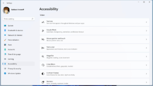 Accessibility menu