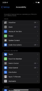 Top half of iOS accessibility menu