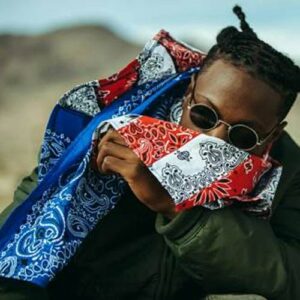 Joey Bada$$: 'Puff and I have formed this real deep brotherly bond' - Music News