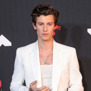 Shawn Mendes cancels remaining world tour dates - Music News