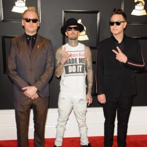 'Your guess is as good as mine': Matt Skiba doesn't know if he's still in Blink-182 - Music News