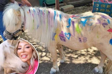 Teen Mom Farrah accused of animal abuse after letting kids paint on her horse