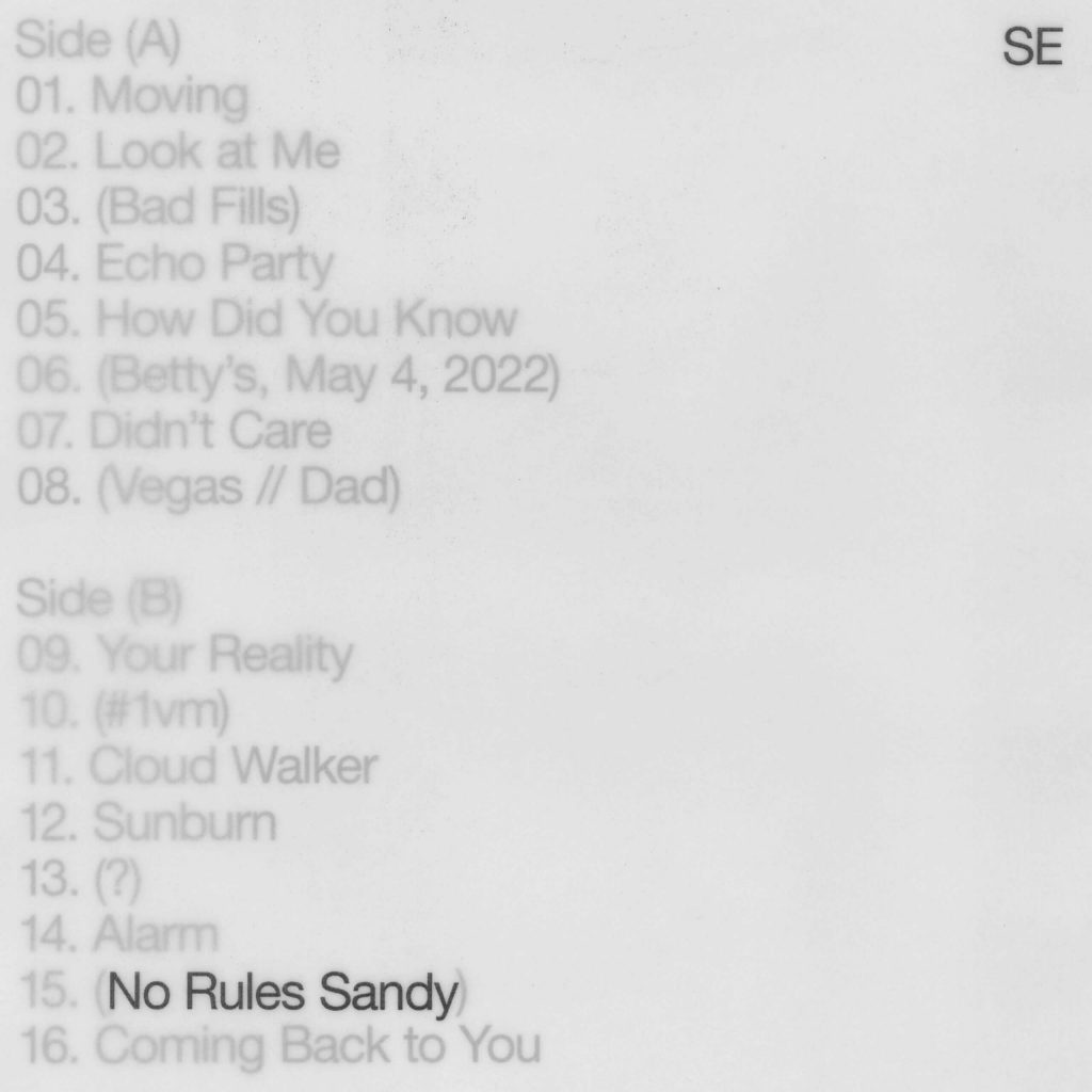 Sylvan-Esso-No-Rules-Sandy-Cover-Art