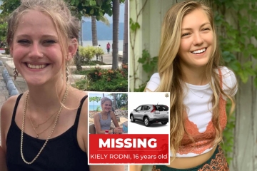 Gabby Petito sleuths join hunt to find missing girl 11 days after teen vanished