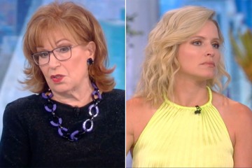 The View's Joy shocks co-host Sara with story of her 'ILLEGAL' activities