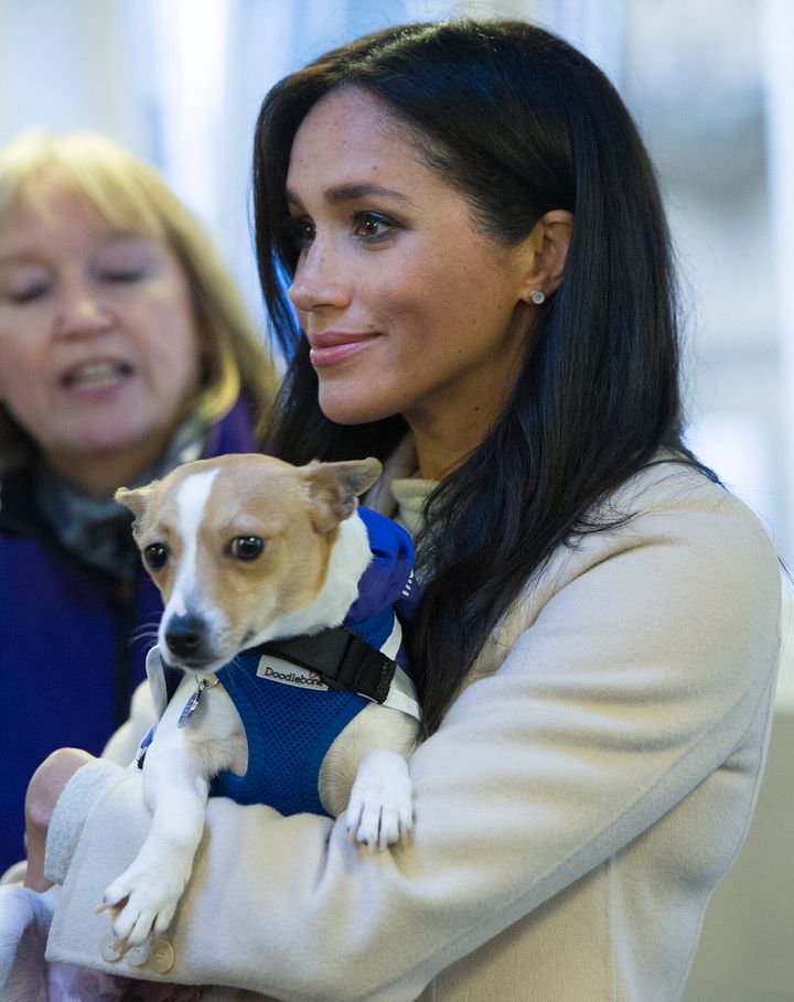 The Duchess of Sussex meets a Jack Russell named Minnie during a visit to the Mayhew, an animal welfare charity, on Jan. 16, 2019, in London.