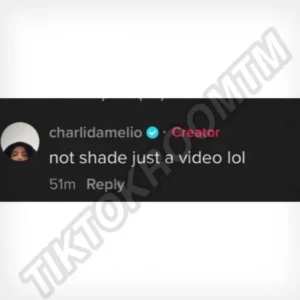 Charli TikTok comment Chase copy