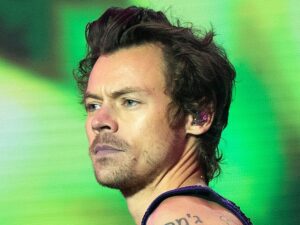 Harry Styles Stops MSG Show to Address Thrown Chicken Nuggets Onstage