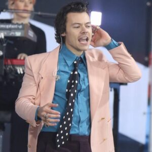 Harry Styles has to warn potential partners about trolls at start of relationships - Music News