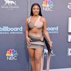 Megan Thee Stallion paid Future $250,000 to feature on collaboration - Music News
