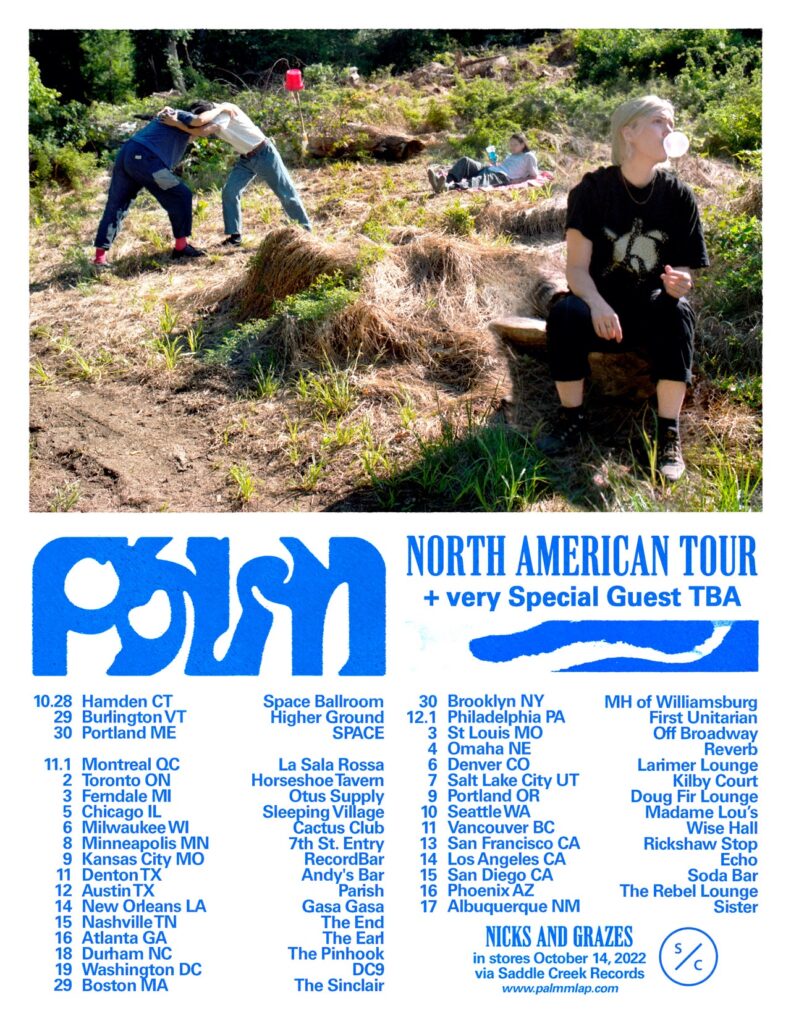 Palm: North American Tour