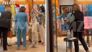 Rep. Nancy Pelosi's Retail Therapy Ahead of Controversial Taiwan Trip