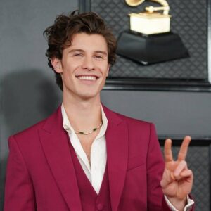 Shawn Mendes 'taking it easy' after cancelling world tour - Music News