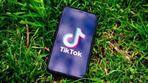 What does ‘ate’ mean on TikTok?