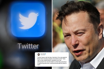 Twitter's major faults amid messy legal battle with Musk revealed by expert