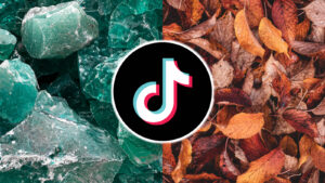 What is the viral ‘If I Was A’ trend on TikTok?