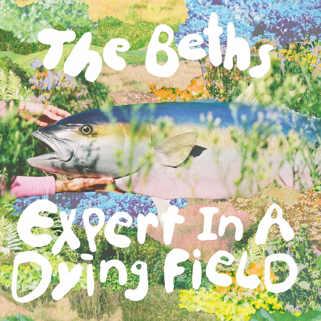 The Beths - 'Expert In A Dying Field'