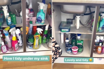I'm a cleaning guru & found a cheap tidying solution for under any sink