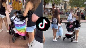 Mom divides TikTok after sneaking older child into Disney with baby stroller