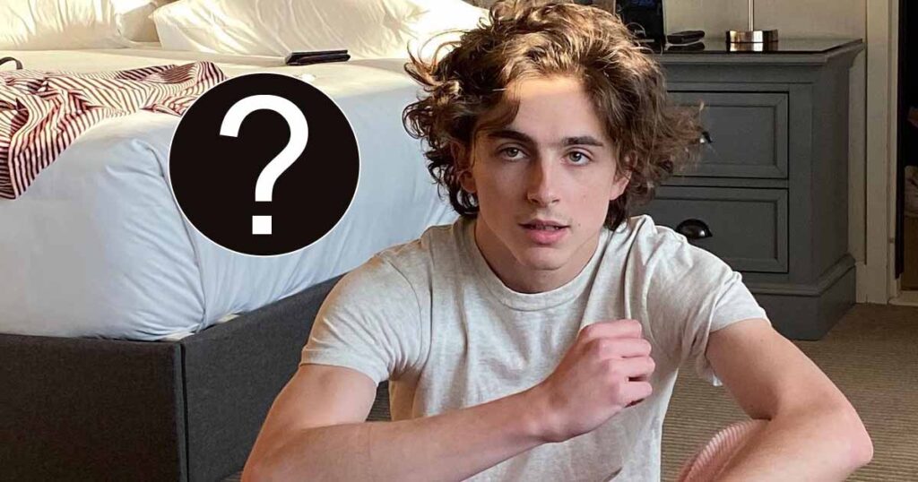 Timothée Chalamet Finally Discloses Who Advised Him To Not Do Superhero Films