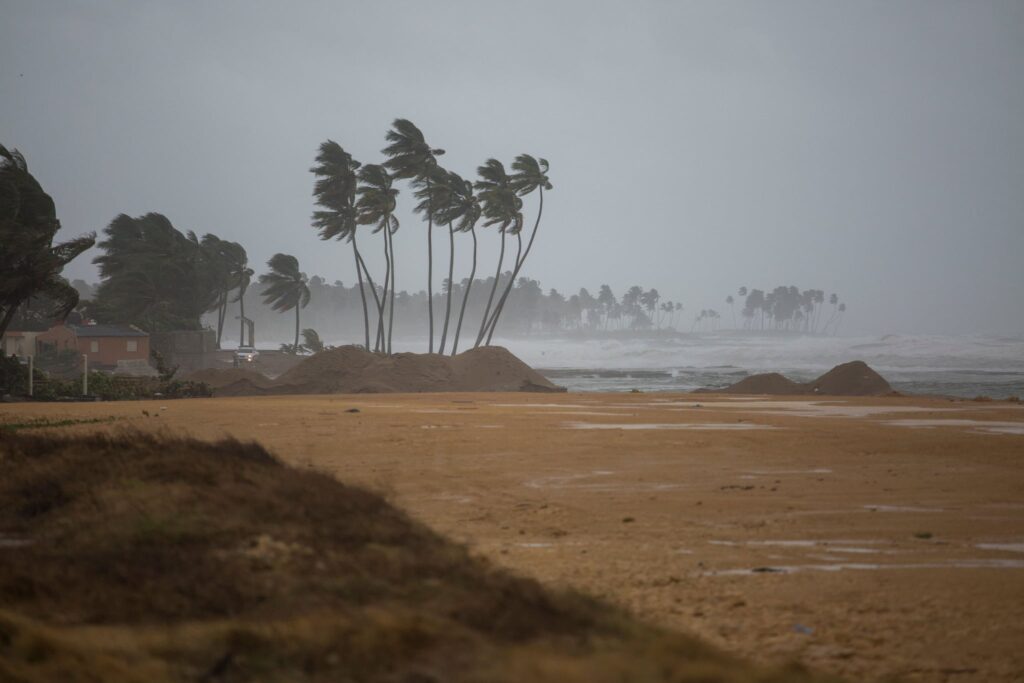 Palm trees blow in the wind in Nagua, Dominican Republic, on September 19, 2022, during the passage of Hurricane Fiona. - Hurricane Fiona made landfall along the coast of the Dominican Republic on Monday, the National Hurricane Center said, after the storm tore through Puerto Rico. (Photo by Erika SANTELICES / AFP) (Photo by ERIKA SANTELICES/afp/AFP via Getty Images)