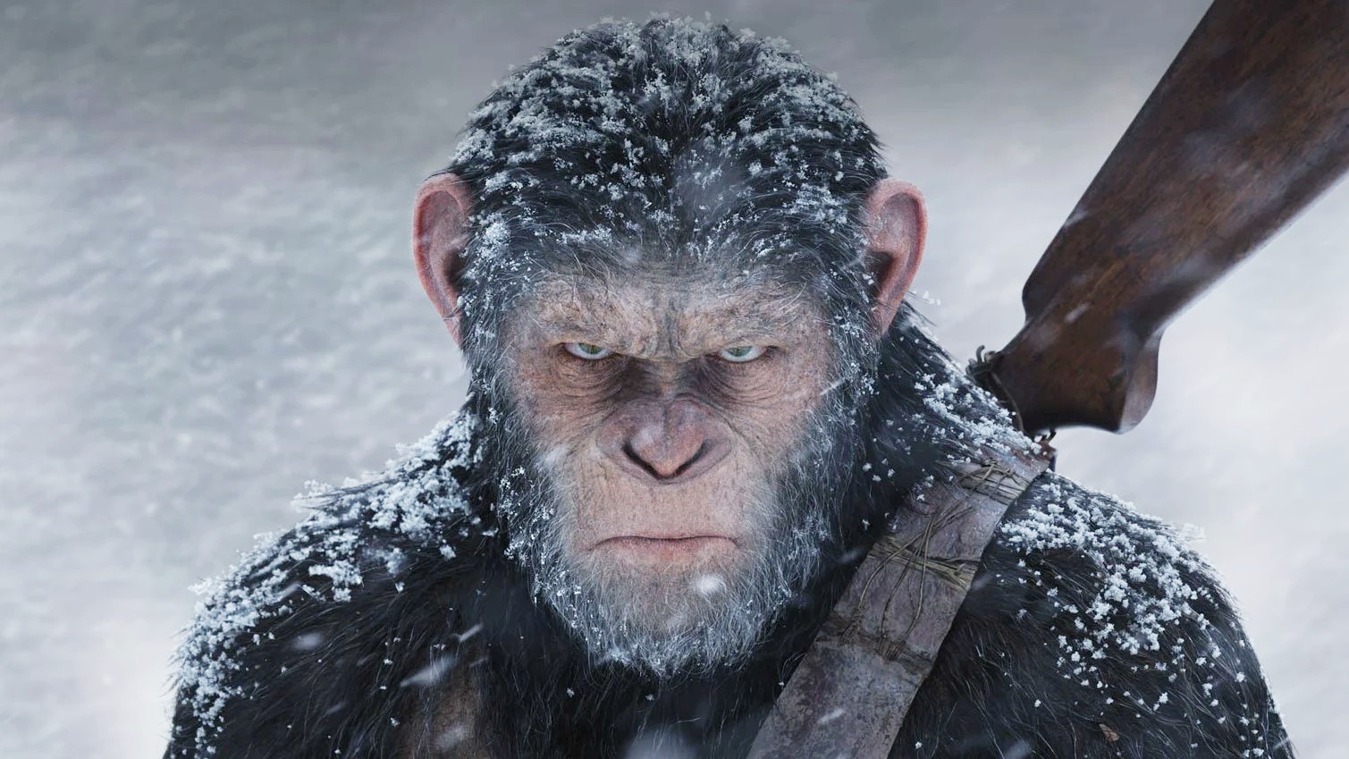 New Planet Of The Apes Movie Casts Andy Serkis's Replacement