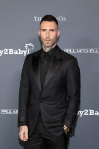 Adam Levine has denied having an affair with model Sumner Stroh but admitted he overstepped the line