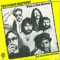 record cover - Doobie Brothers, The - What A Fool Believes
