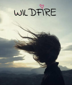 David Permut And Dawn Krantz Acquire Chaya Doswell’s Screenplay ‘Wildfire’ – Deadline