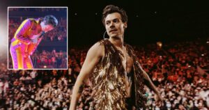 Harry Styles Hilariously React To Getting Hit With A Bottle Right On His Crotch During His Concert