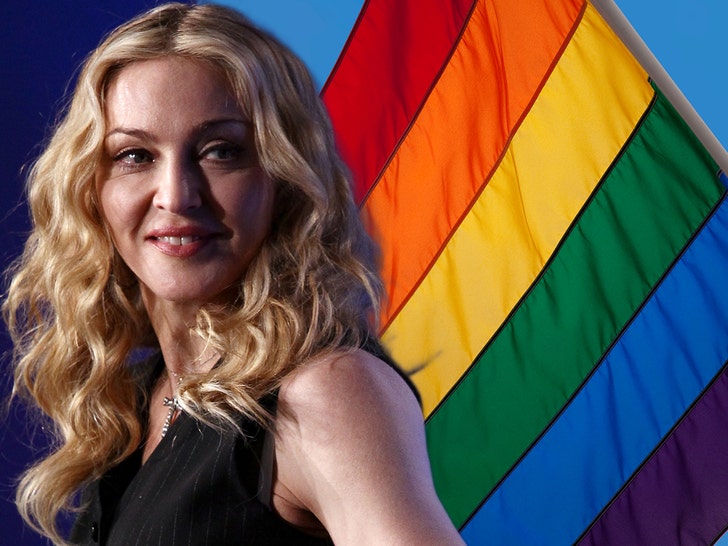 Madonna Seemingly Comes Out as Gay