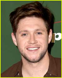Niall Horan is Joining This Hit Singing Competition Series!