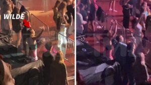 Olivia Wilde Dances at Harry Styles Concert in L.A.